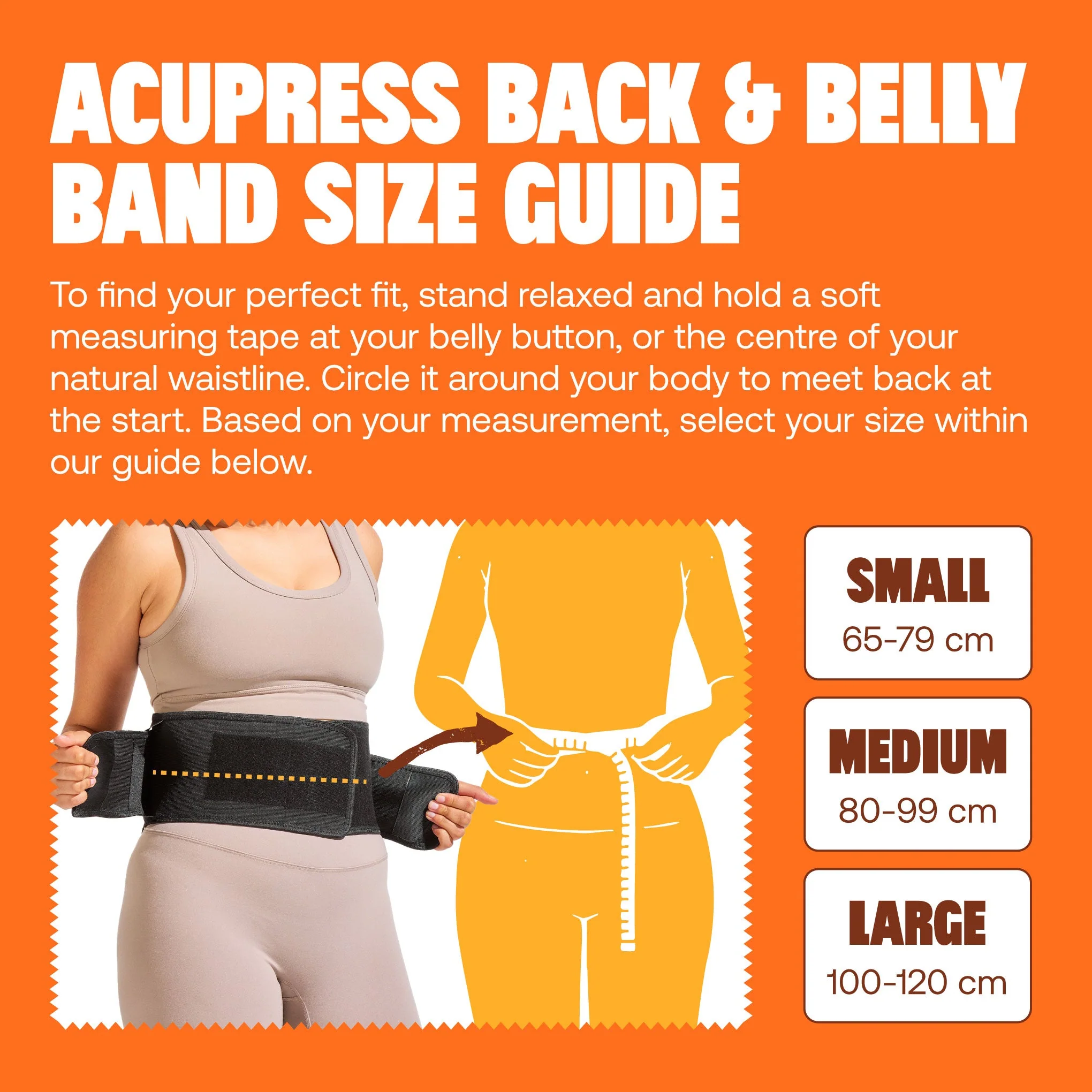 Back & Belly Band - Image 12